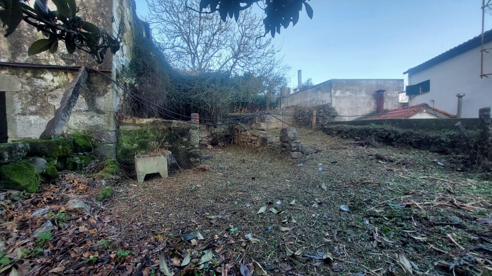 373a0663-a040-4677-a1dc-af35deb7f347jpeg