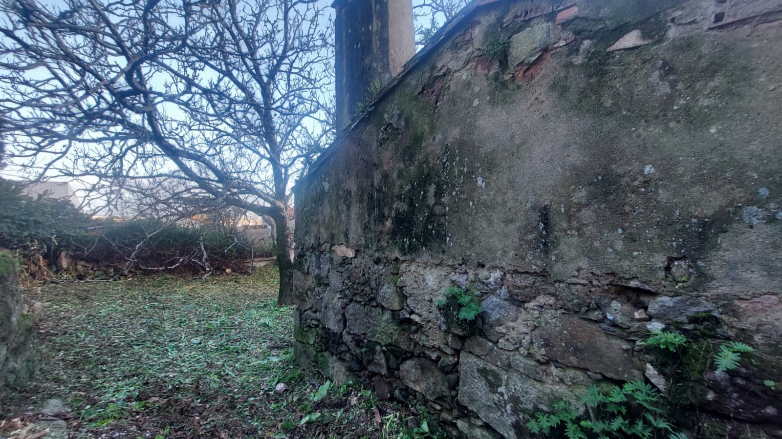 5353fb5f-1165-4fff-801d-fed64a329c1ejpeg