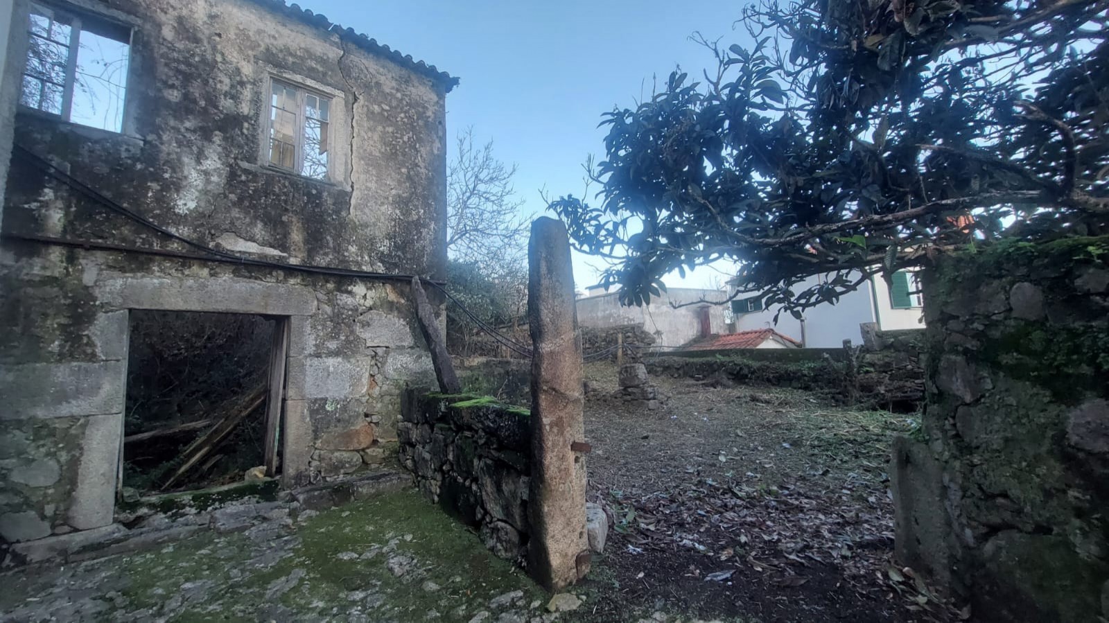 12343fca-c8d7-4240-8b64-aed8b2470612jpeg