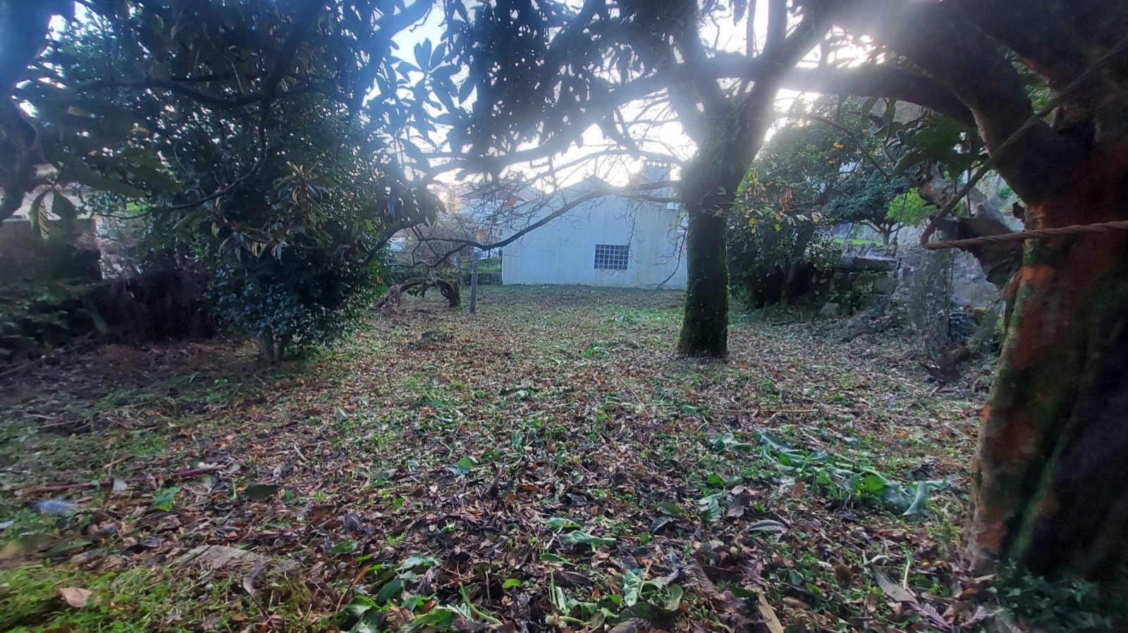 5999872d-4274-4333-83a7-f62b88c15c9ejpeg