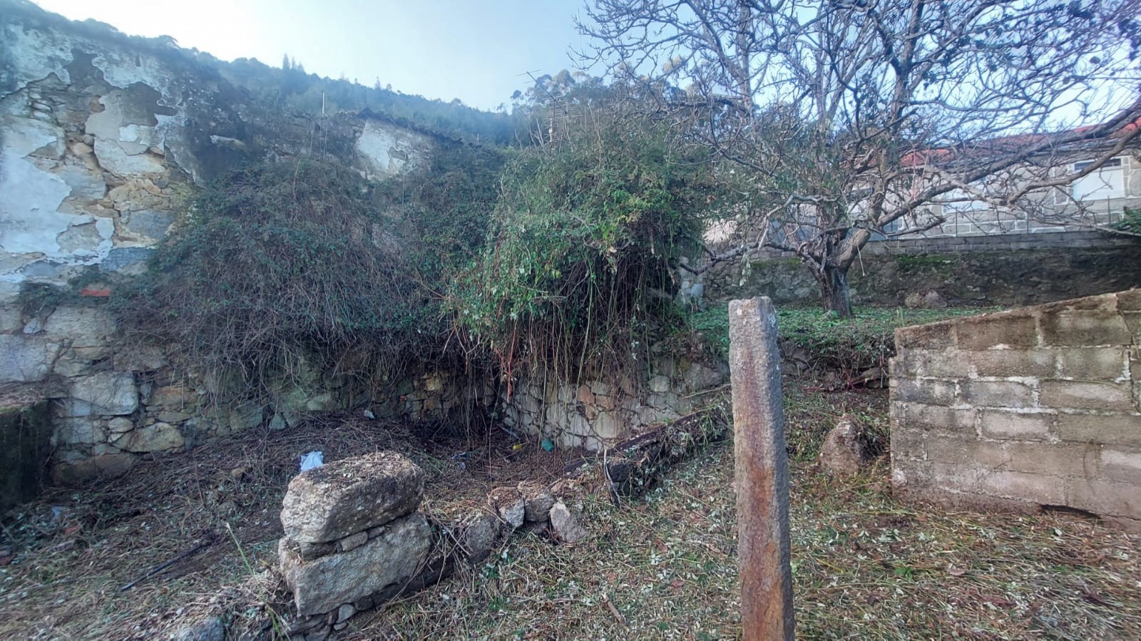 a0633007-b760-42b8-a043-2989dc8c3766jpeg