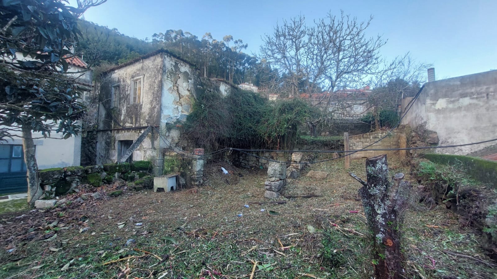 51172736-4554-44f2-8a10-f419b738e226jpeg