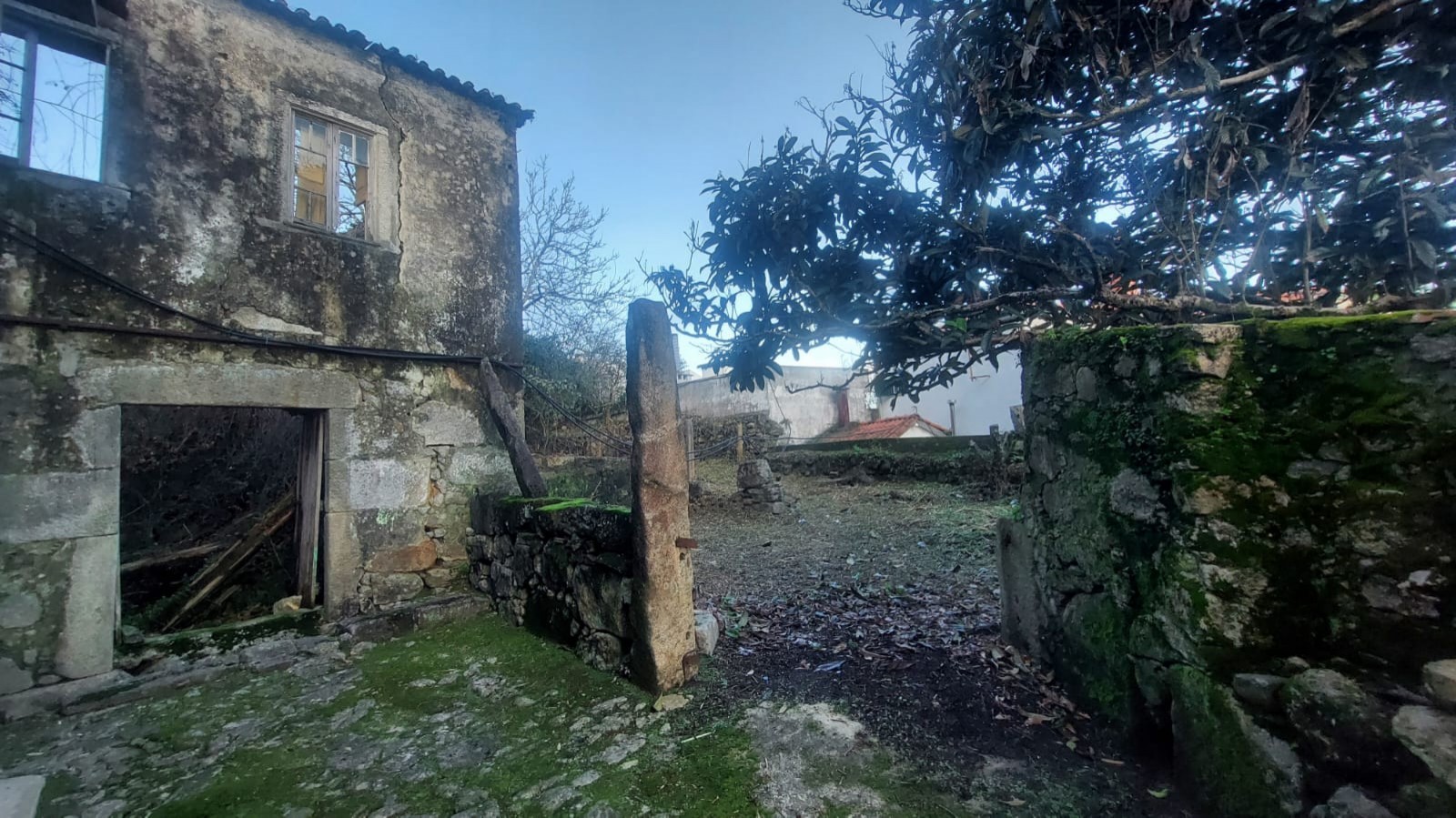 c955f198-db0a-4534-aa9b-4604a4364379jpeg