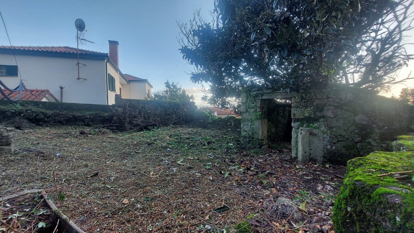 ddc6f10c-f20e-4f62-9451-a3c257b82957jpeg