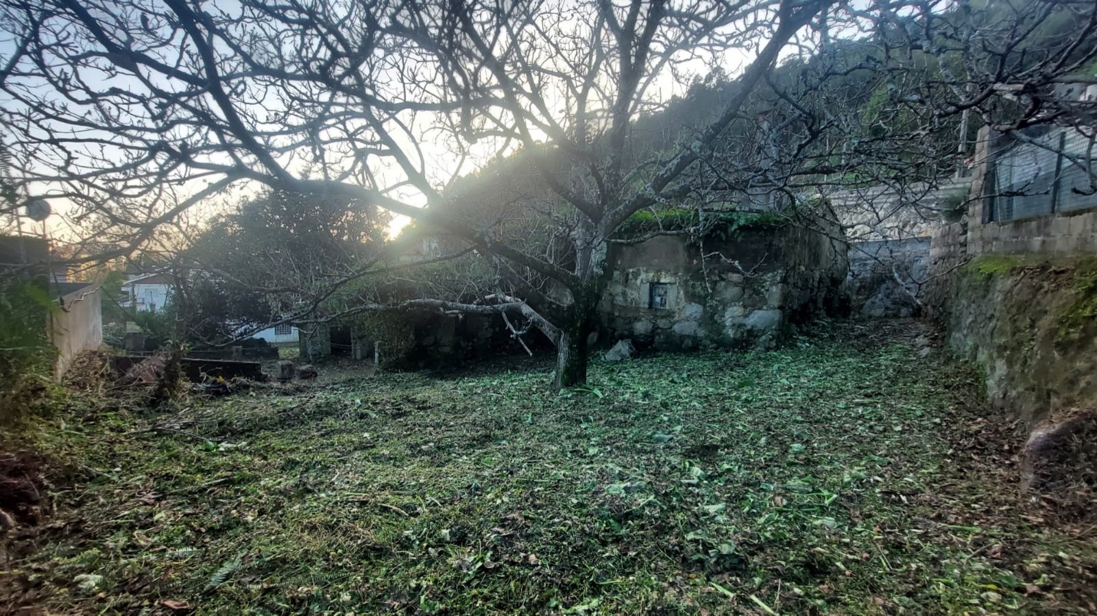 ecd80968-5dce-4198-9b2c-7a5c038eea3cjpeg