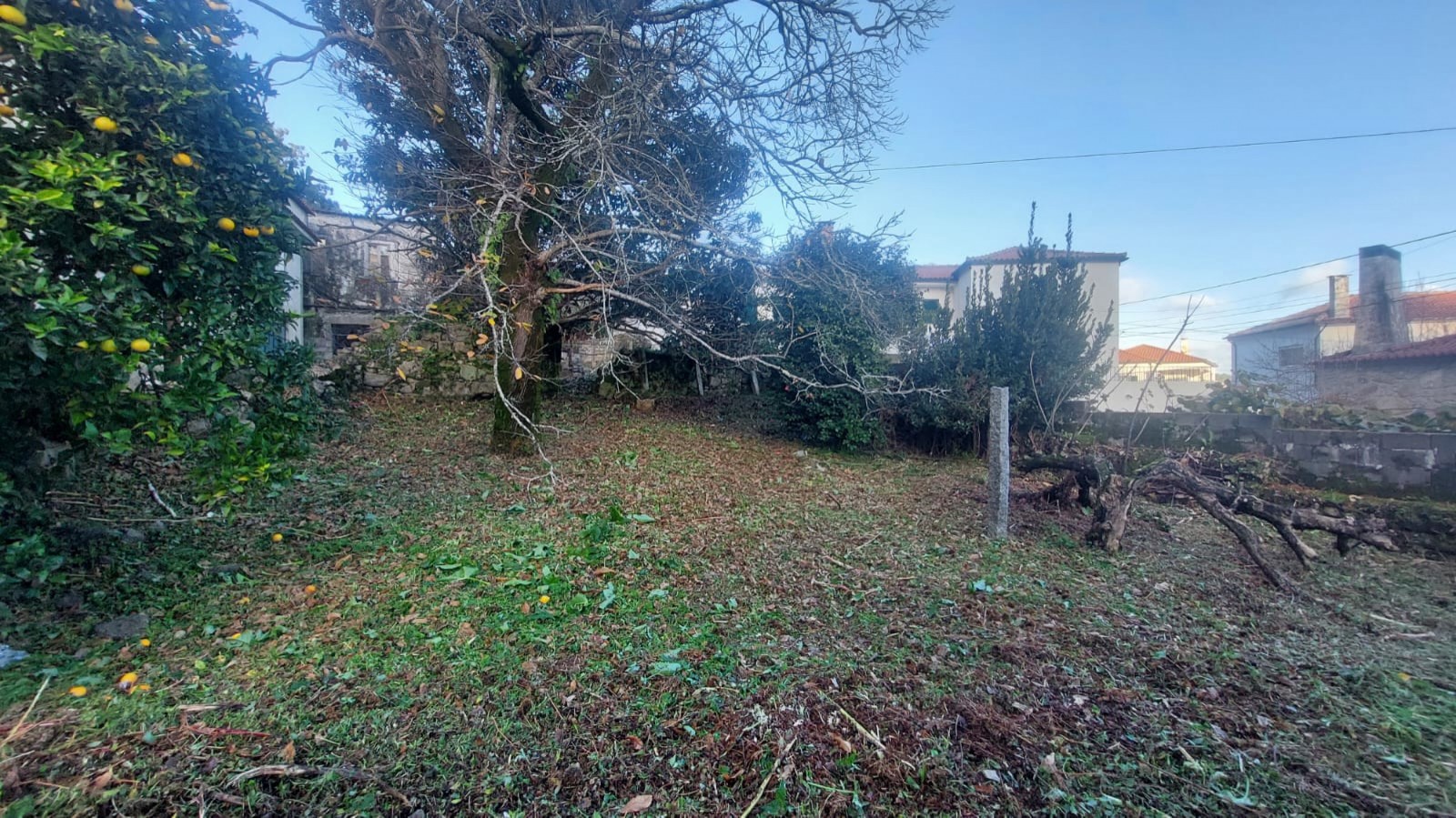 baafe8bf-8614-4571-a3a7-81e9dbdc1335jpeg