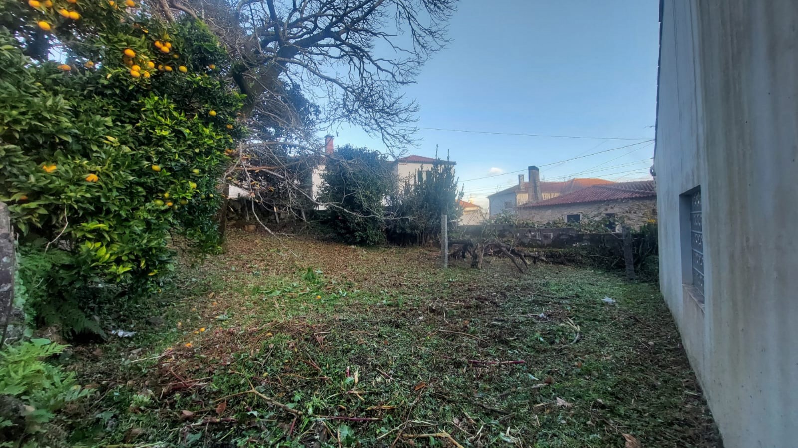 cc91030f-2920-4195-af50-739f9fe1a243jpeg