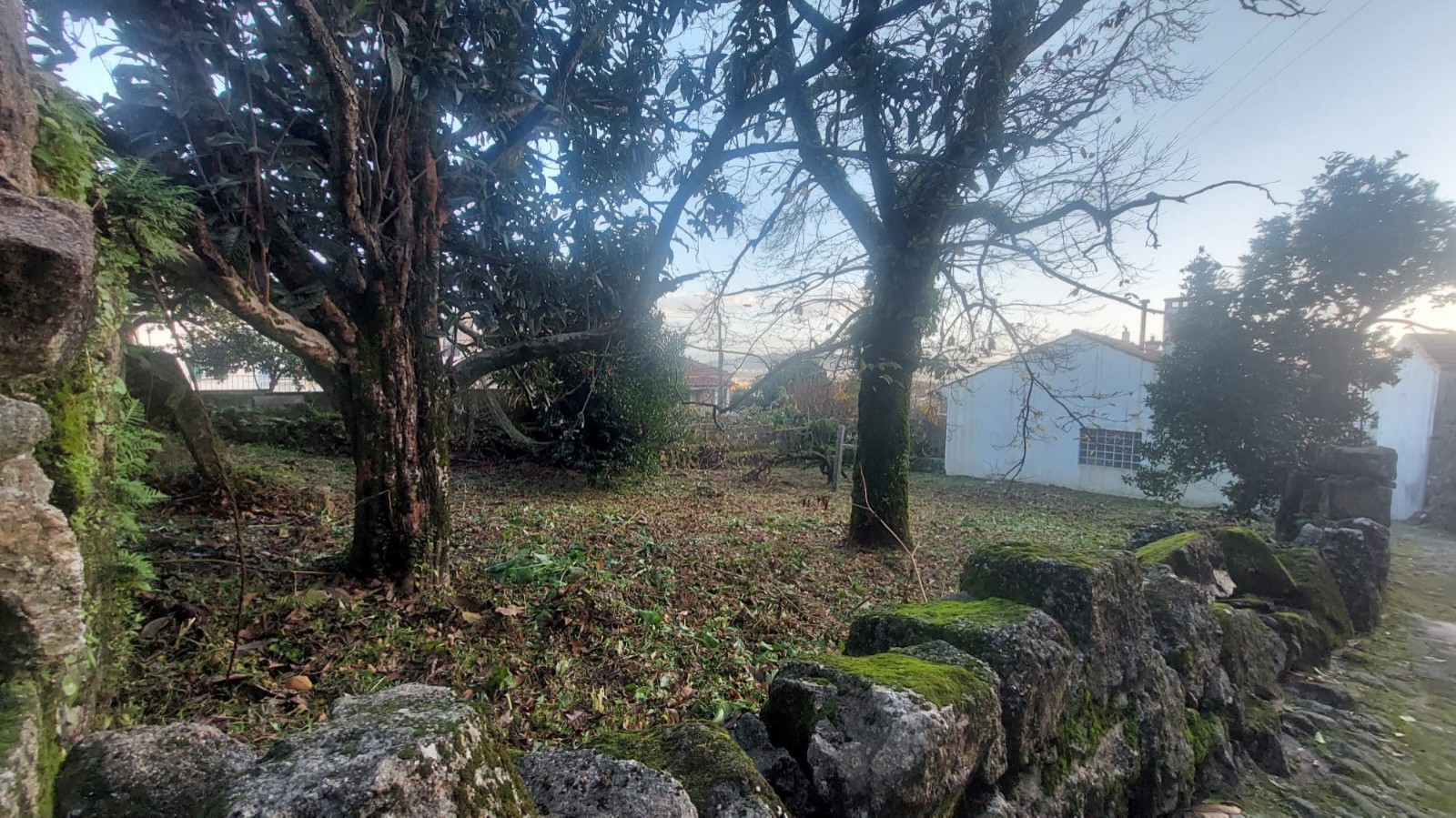 5ee6212f-de1a-4f01-a01b-866241da1777jpeg