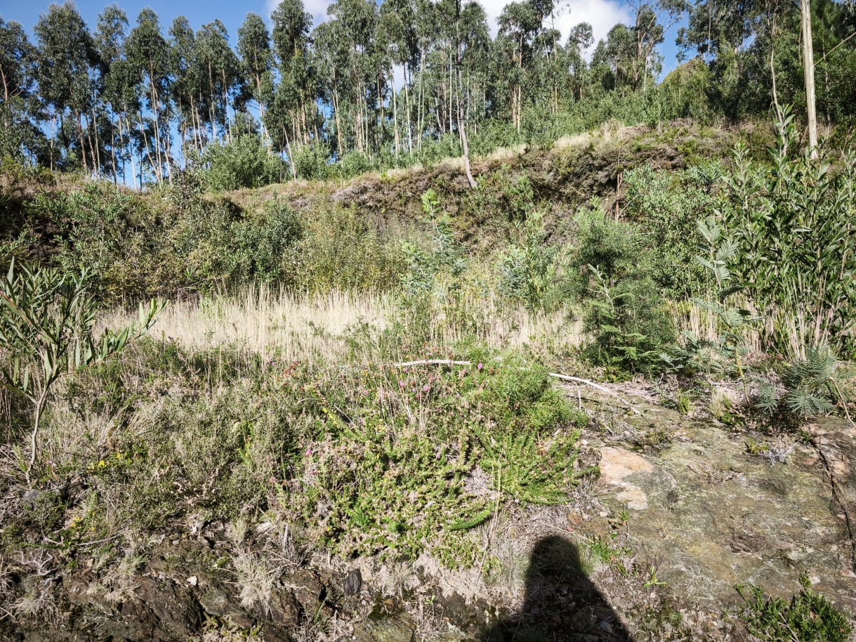 1-img-20251117-141123jpg