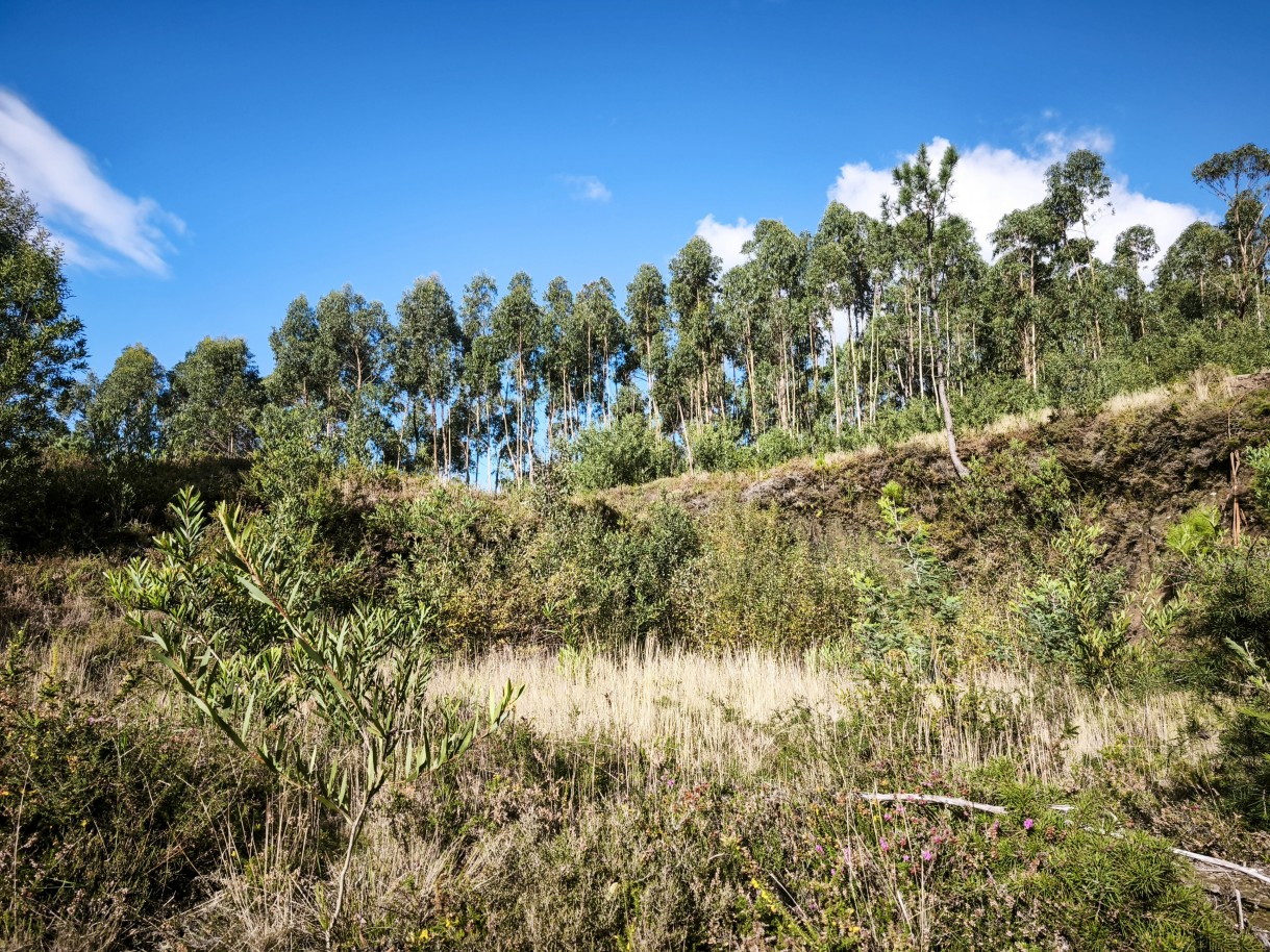 2-img-20251117-141118jpg