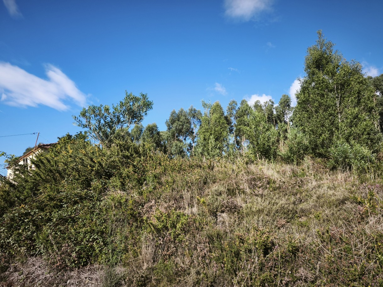 3-img-20251117-141104jpg