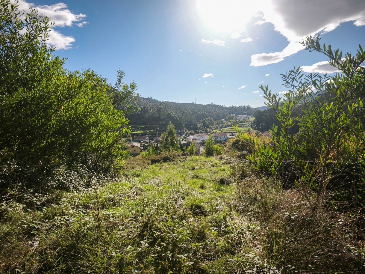 4-img-20251117-140848jpg