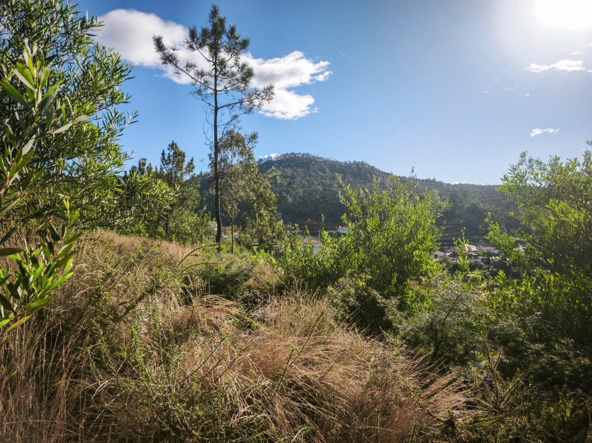 5-img-20251117-140836jpg