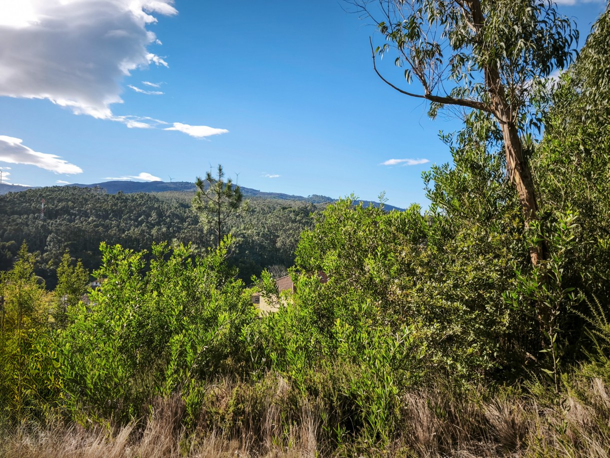 6-img-20251117-140459jpg