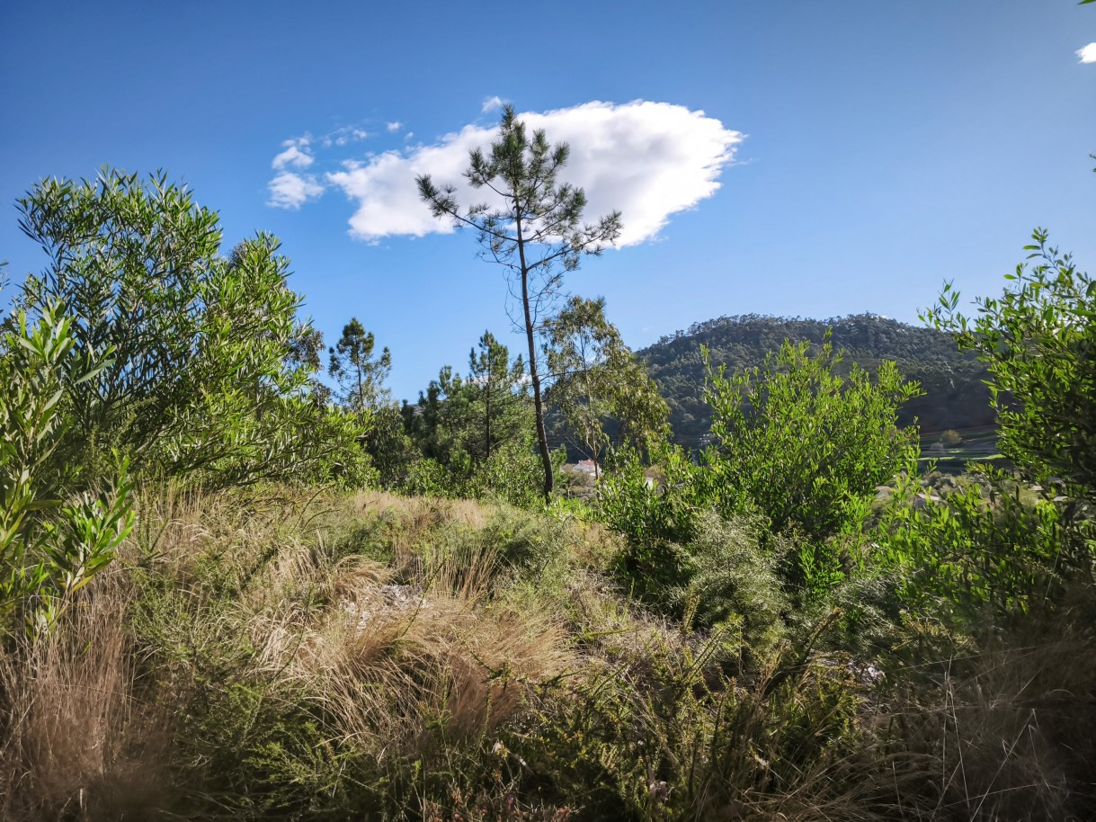 7-img-20251117-140400jpg