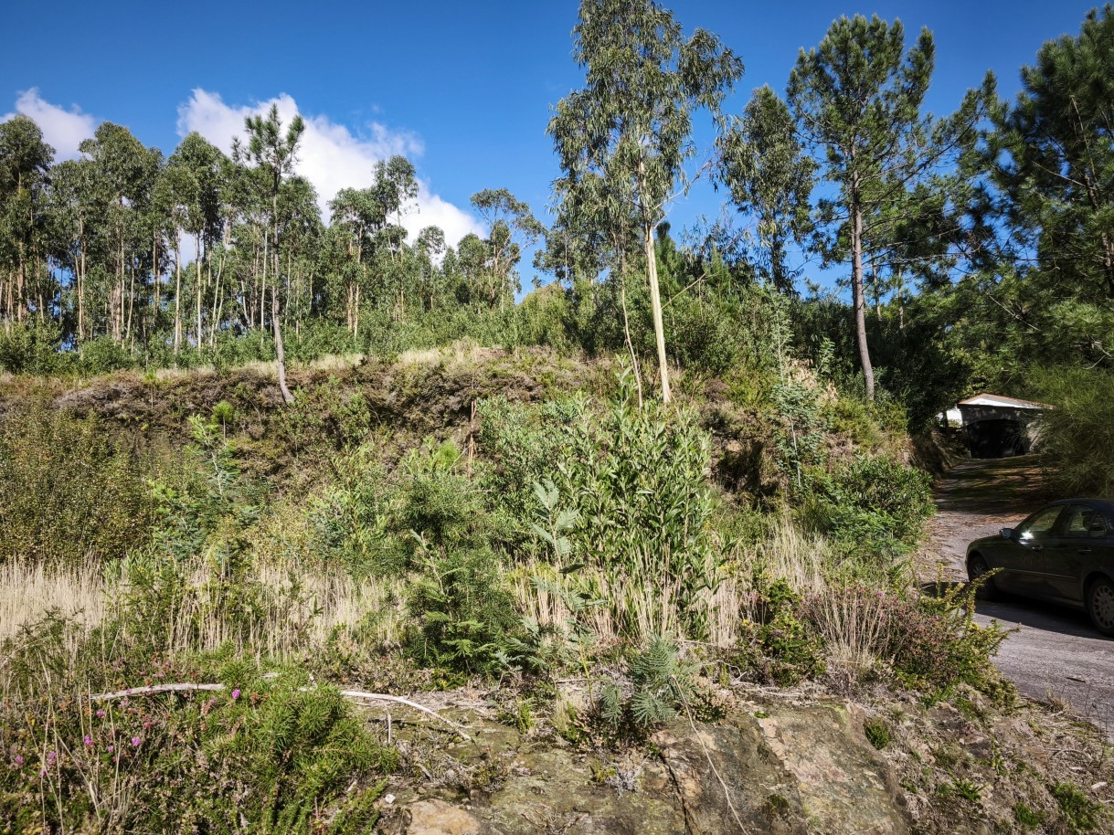 1-img-20251117-141121jpg