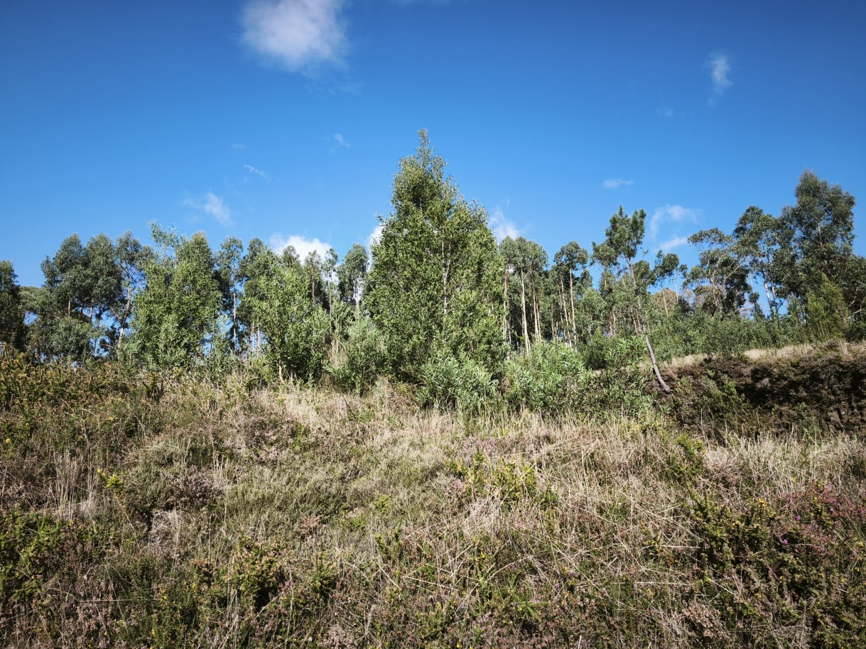 3-img-20251117-141102jpg