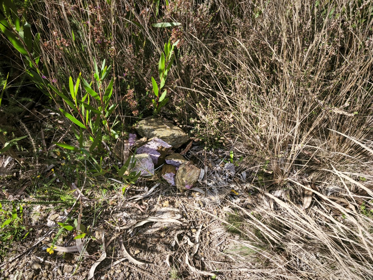 4-img-20251117-140525jpg