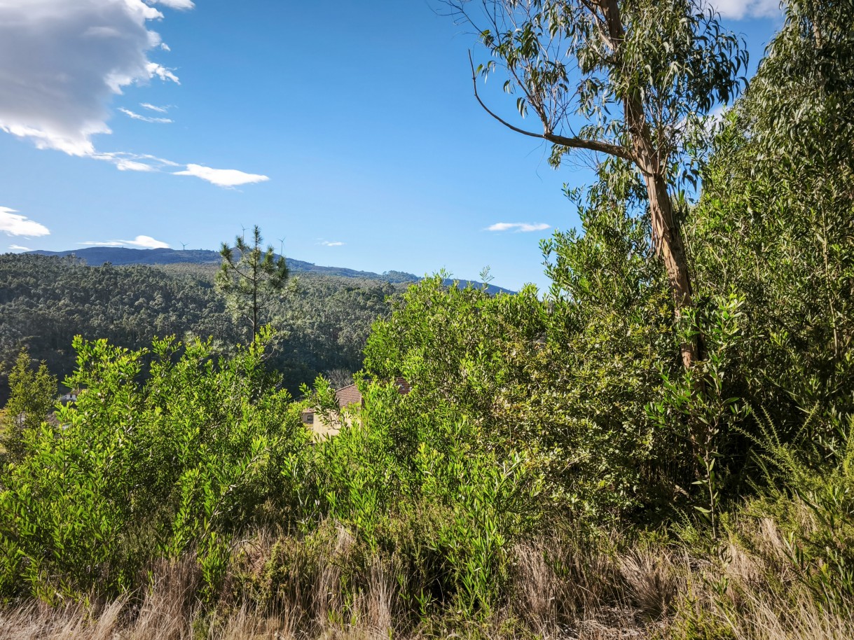 5-img-20251117-140501jpg