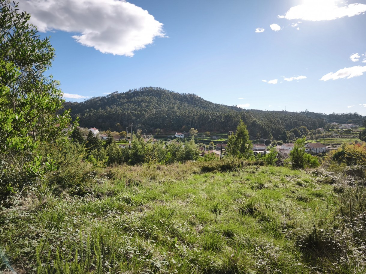 8-img-20251117-140338jpg