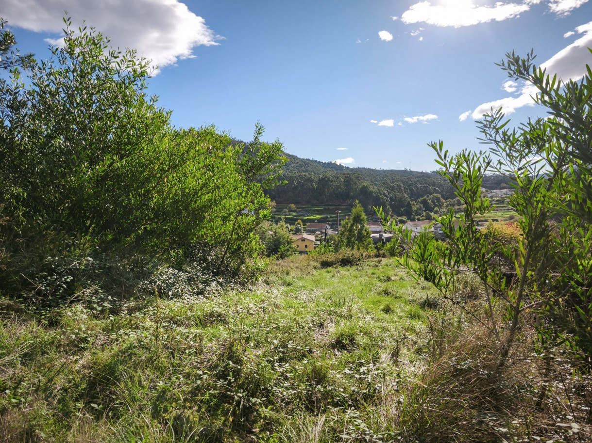 9-img-20251117-140321jpg