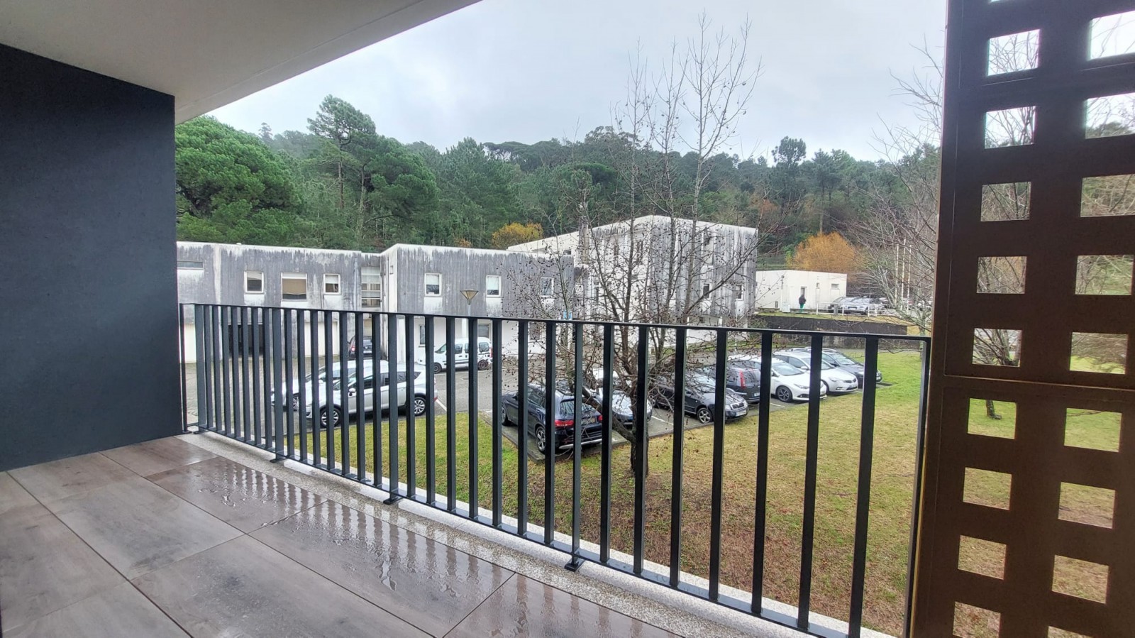 whatsapp-image-2026-01-08-at-124246jpeg