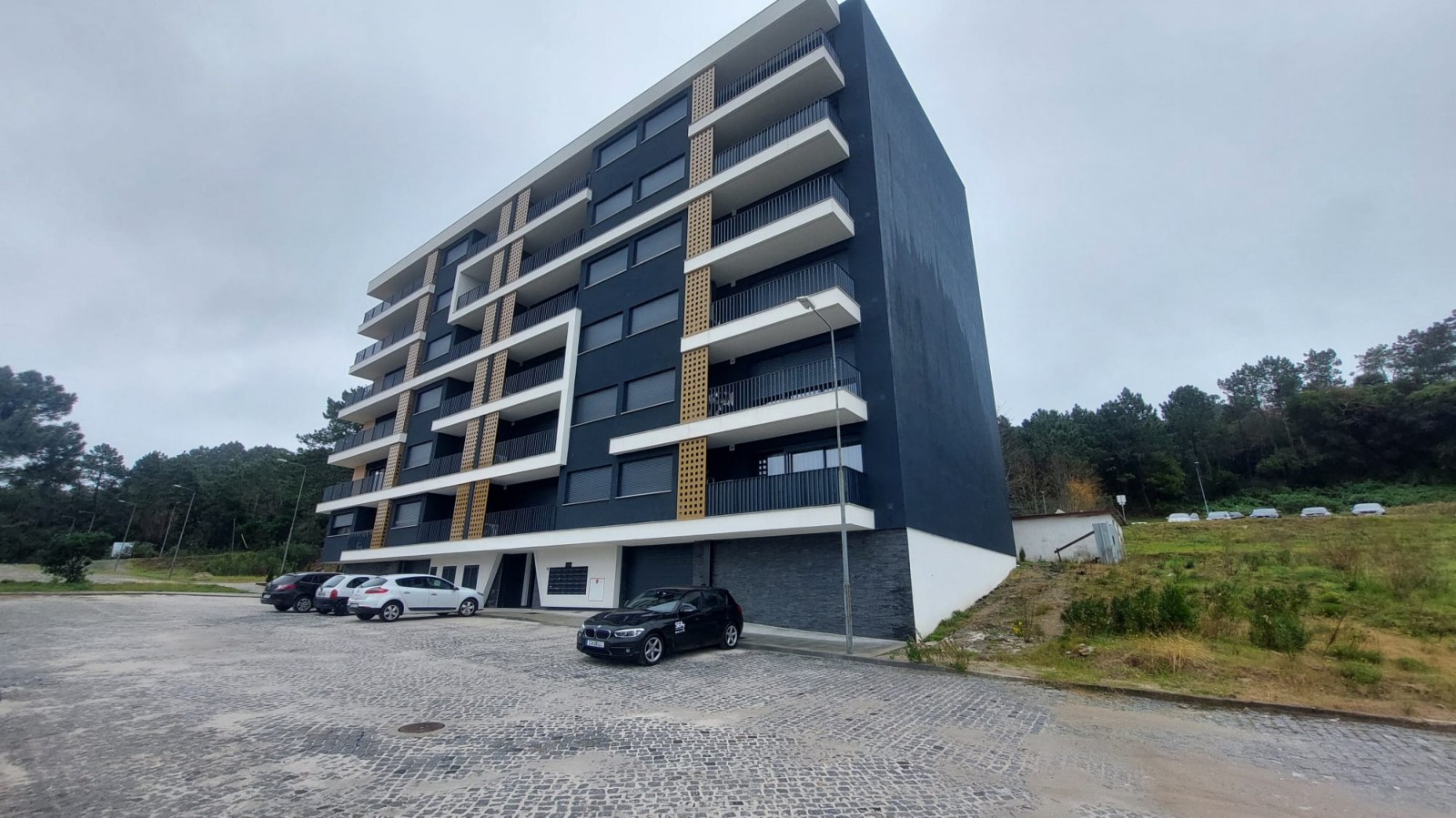 whatsapp-image-2026-01-08-at-124248-1jpeg