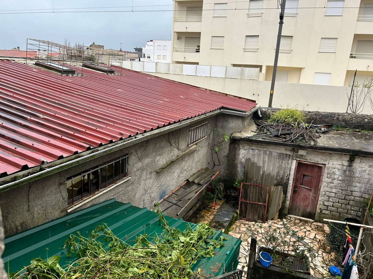 whatsapp-image-2026-01-14-at-163140-1jpeg