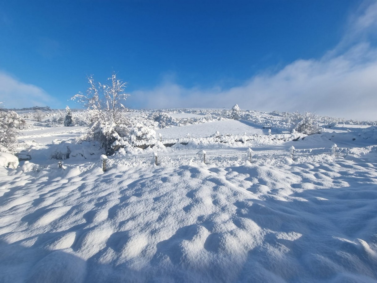 whatsapp-image-2025-12-22-at-134133jpeg