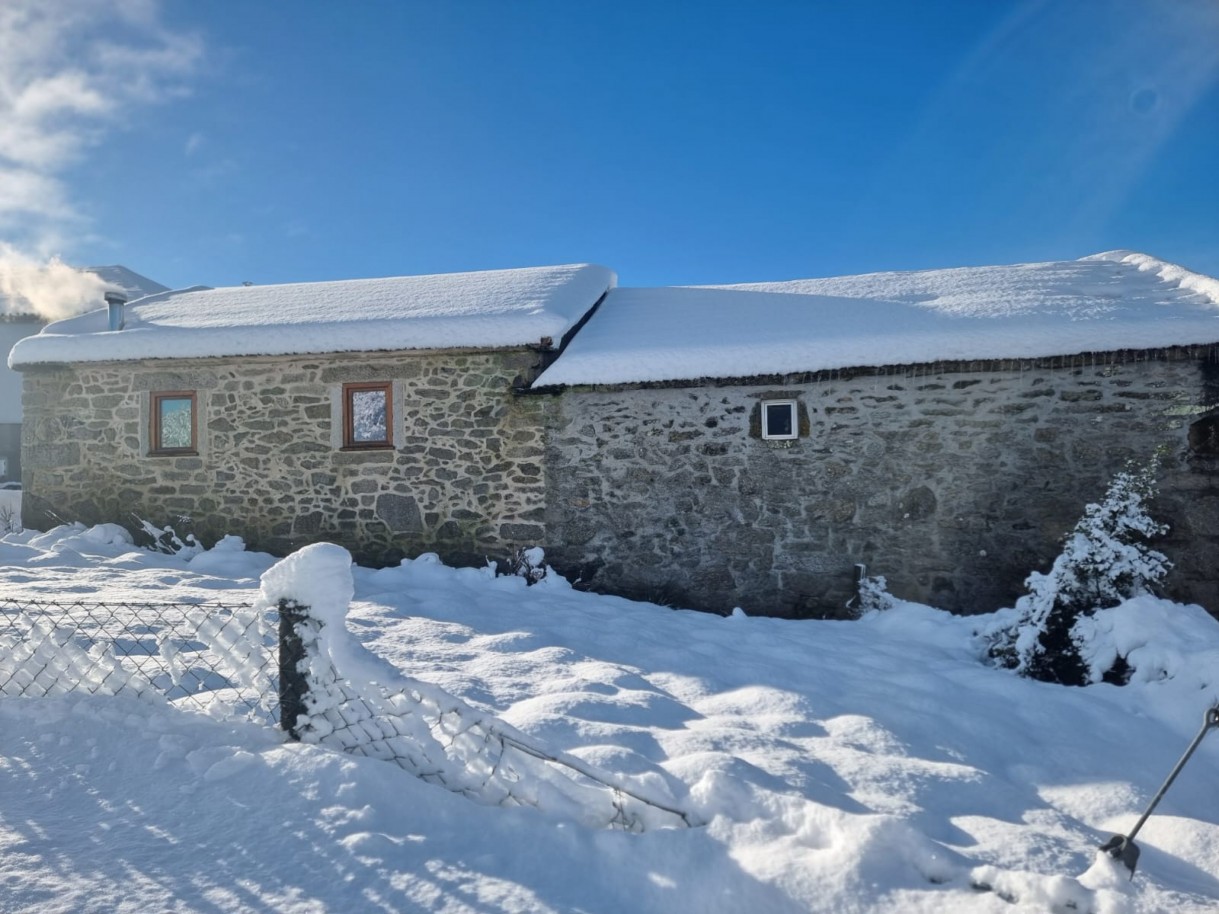 whatsapp-image-2025-12-22-at-134110jpeg