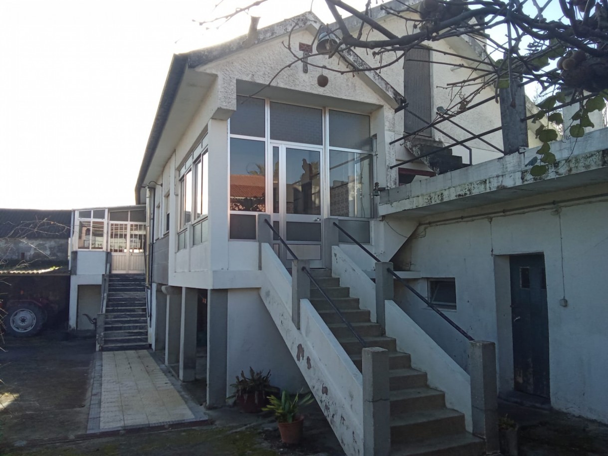 whatsapp-image-2026-01-27-at-172213jpeg