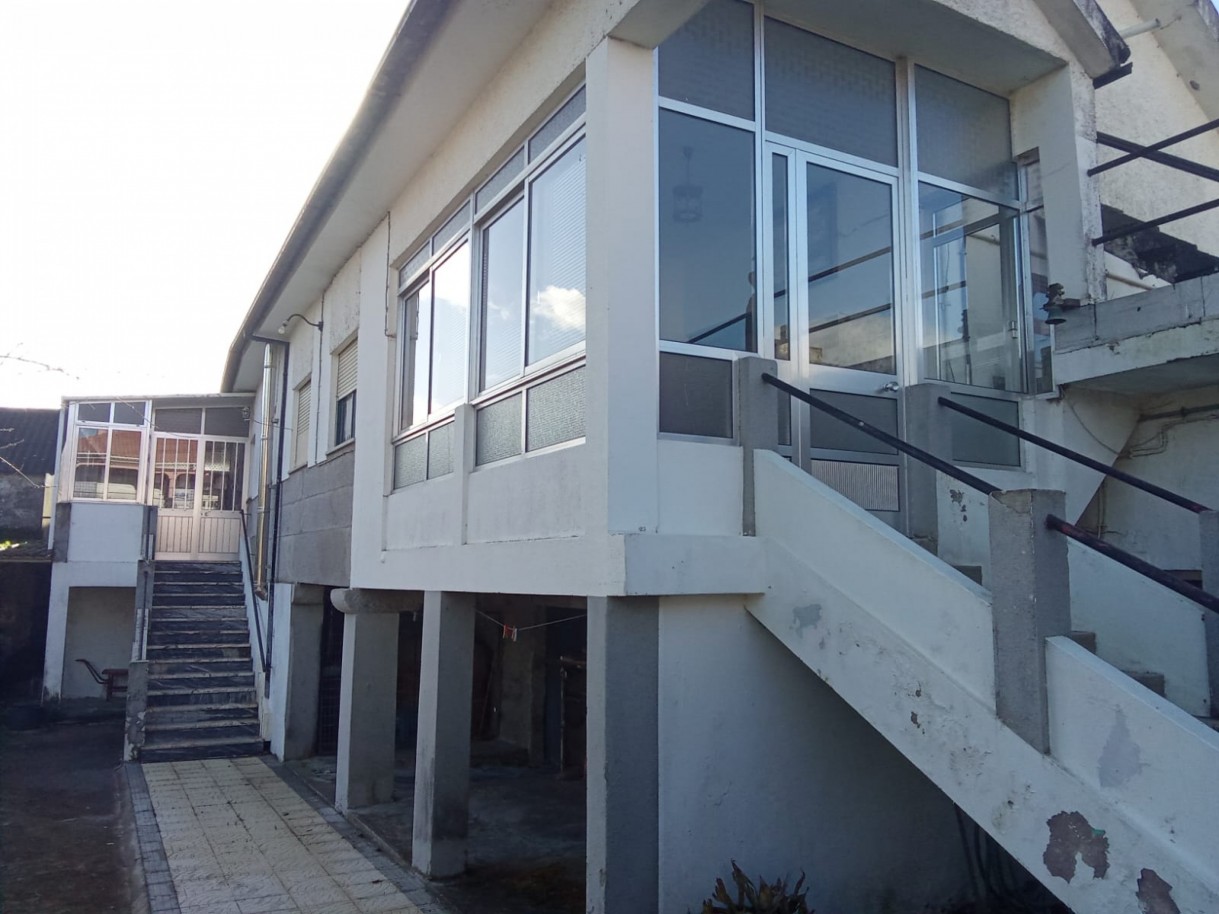 whatsapp-image-2026-01-27-at-172216jpeg