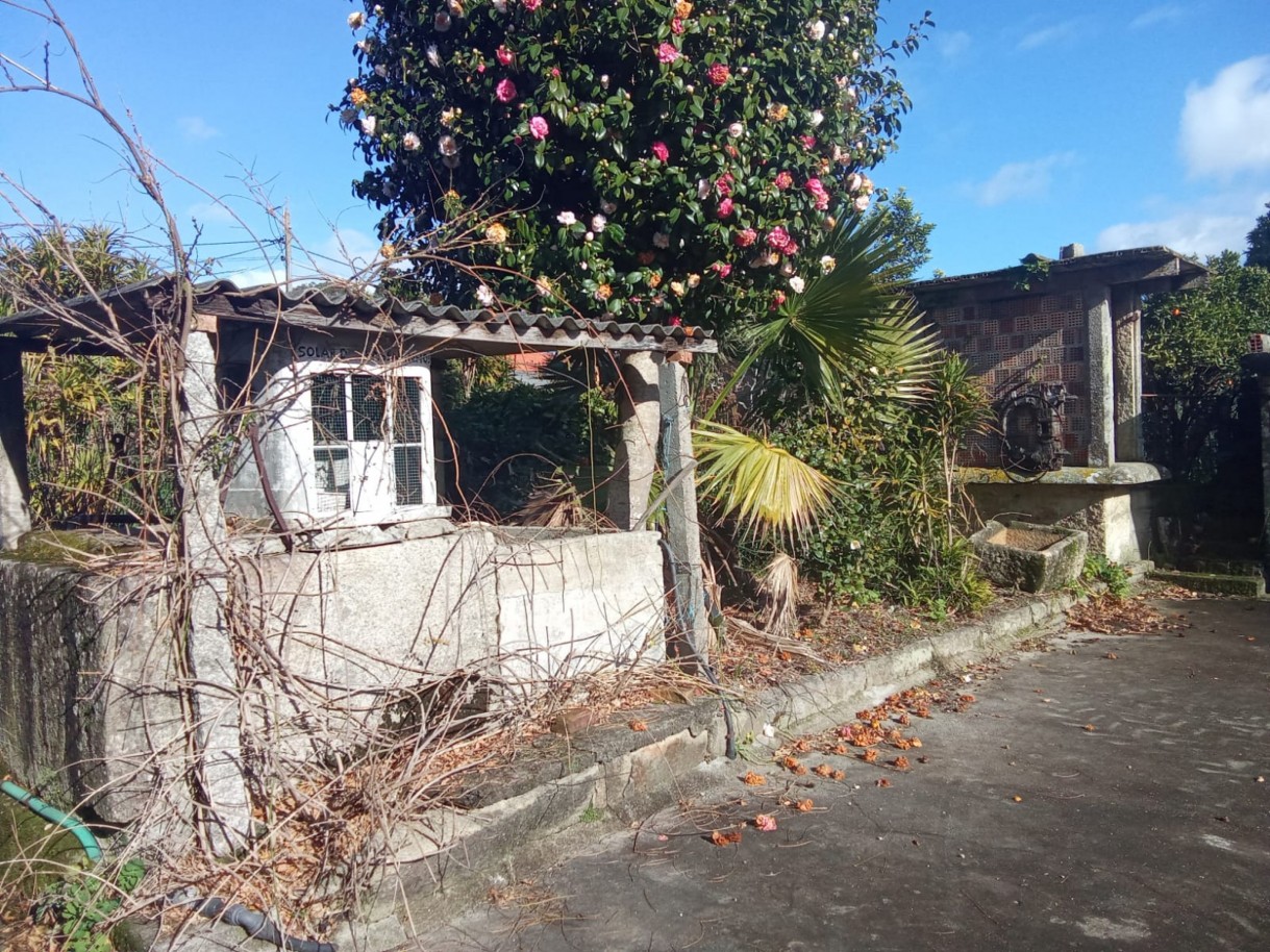 whatsapp-image-2026-01-27-at-172228jpeg