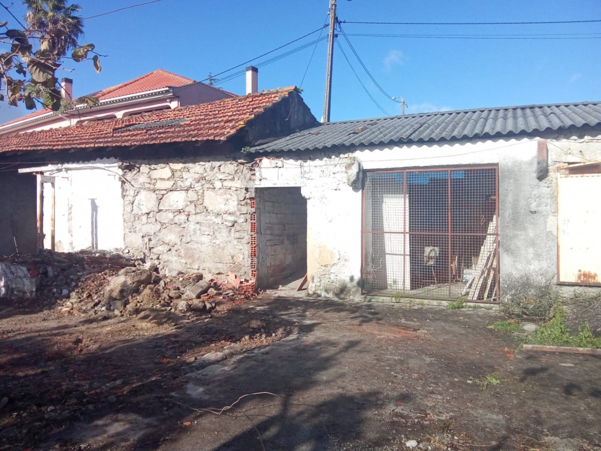 whatsapp-image-2026-01-27-at-172229jpeg