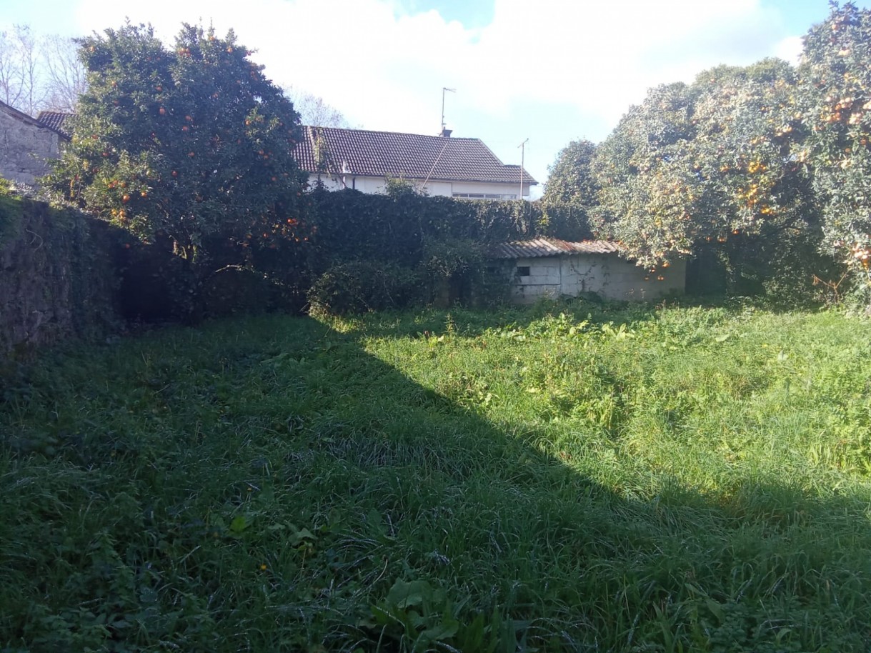 whatsapp-image-2026-01-27-at-172229-2jpeg