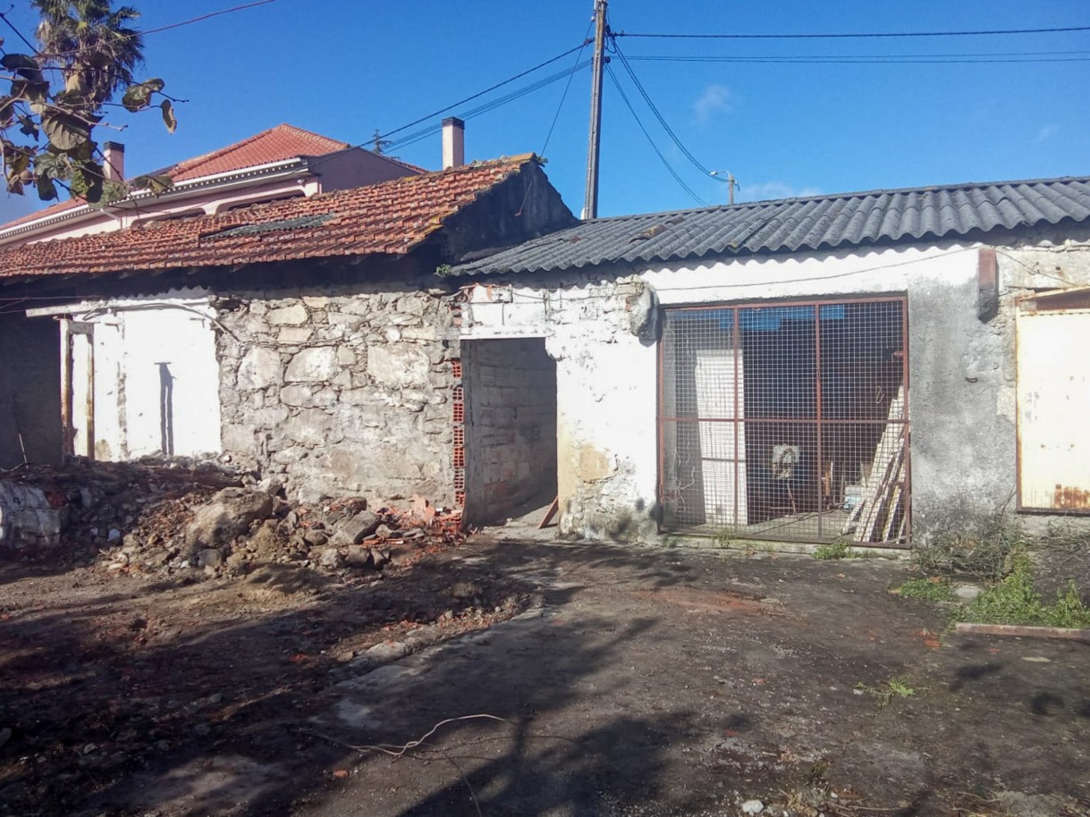 3-whatsapp-image-2026-01-27-at-17jpg