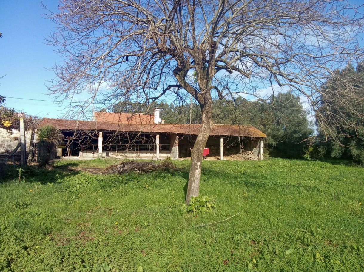 1-whatsapp-image-2026-01-27-at-17jpg