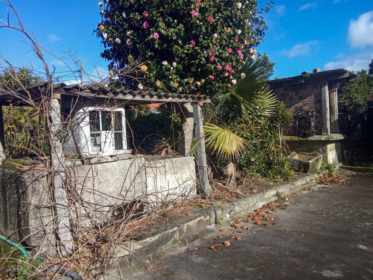 5-whatsapp-image-2026-01-27-at-17jpg