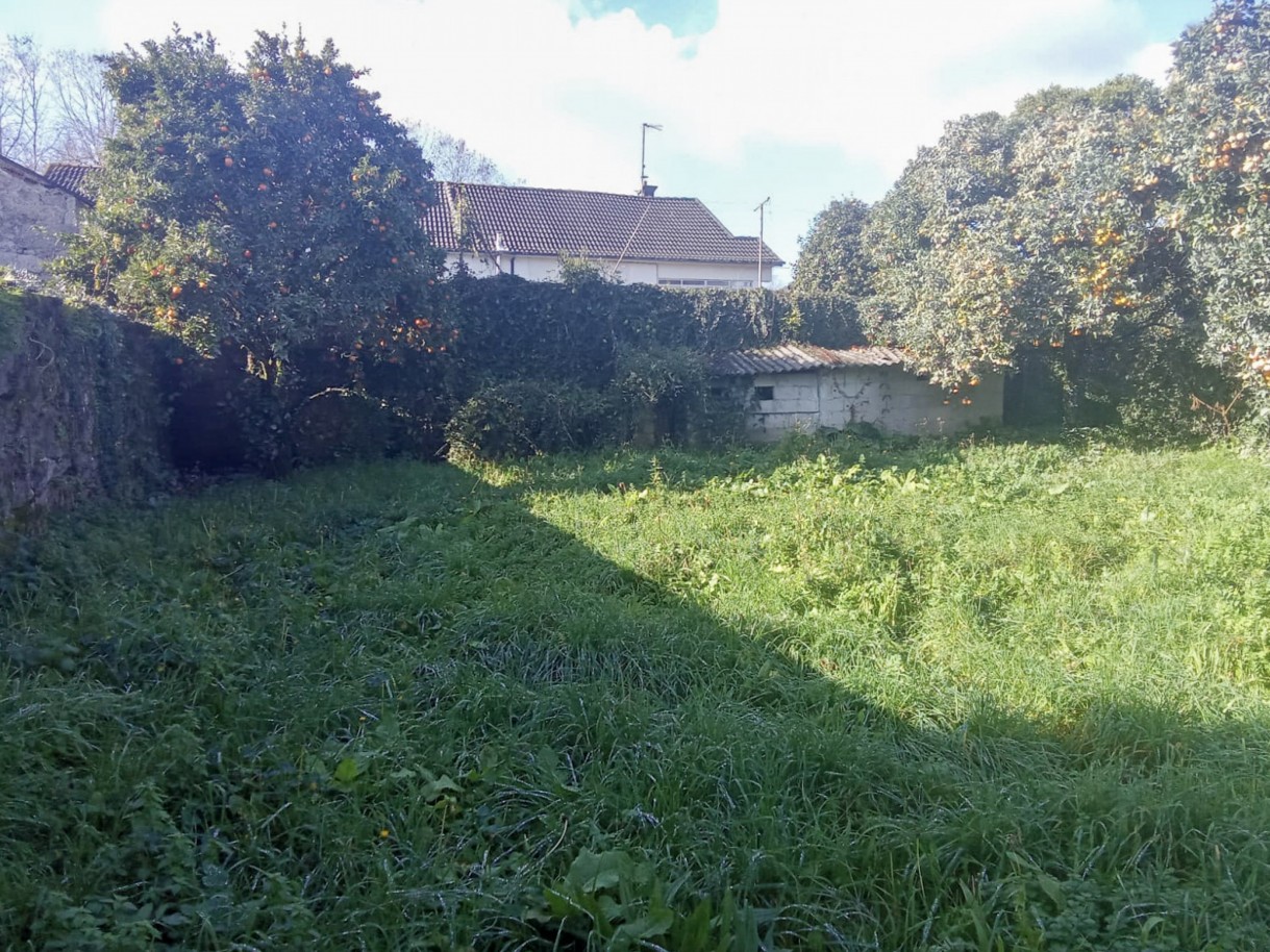 4-whatsapp-image-2026-01-27-at-17jpg