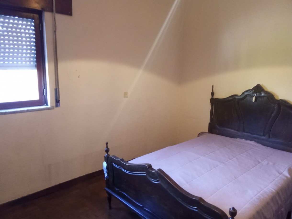 24-whatsapp-image-2026-01-27-at-17jpg