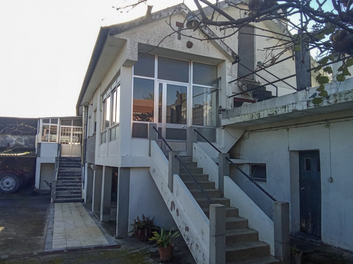 28-whatsapp-image-2026-01-27-at-17jpg