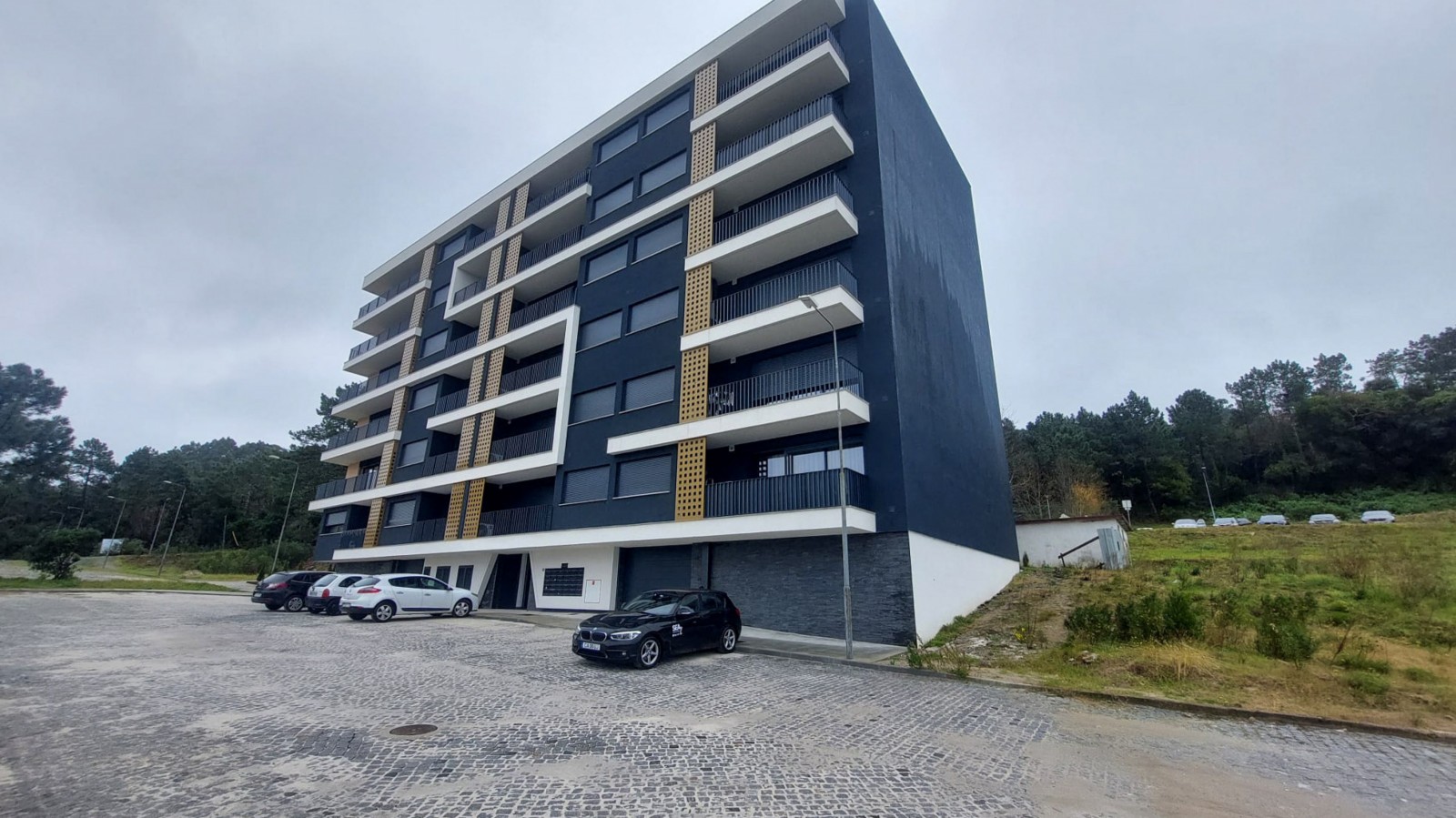 3-whatsapp-image-2026-01-08-at-12jpg