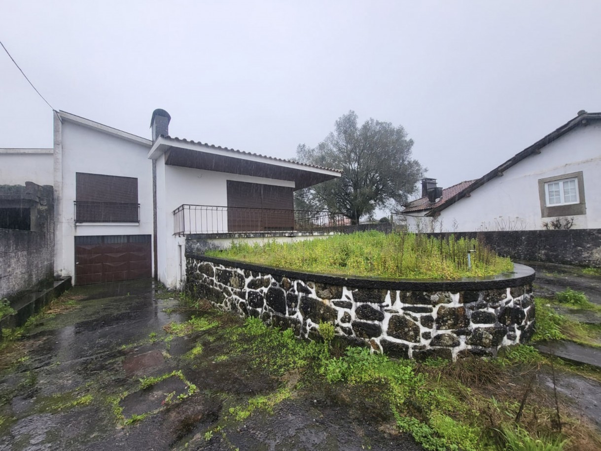 11-whatsapp-image-2026-02-05-at-15jpg