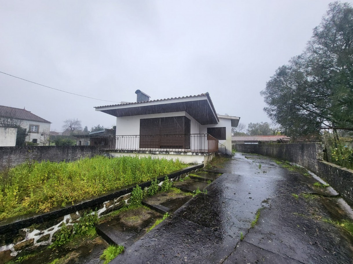 32-whatsapp-image-2026-02-05-at-15jpg