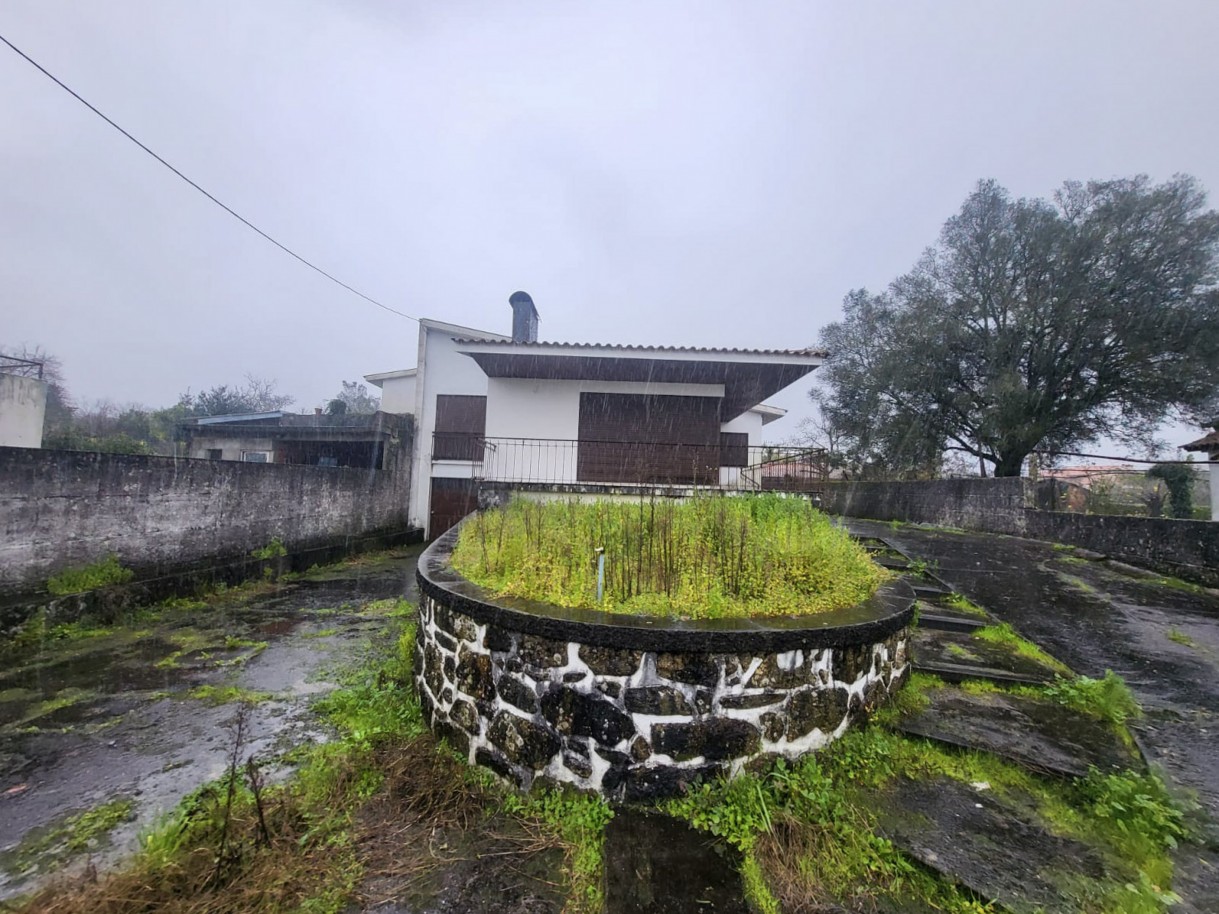 31-whatsapp-image-2026-02-05-at-15jpg