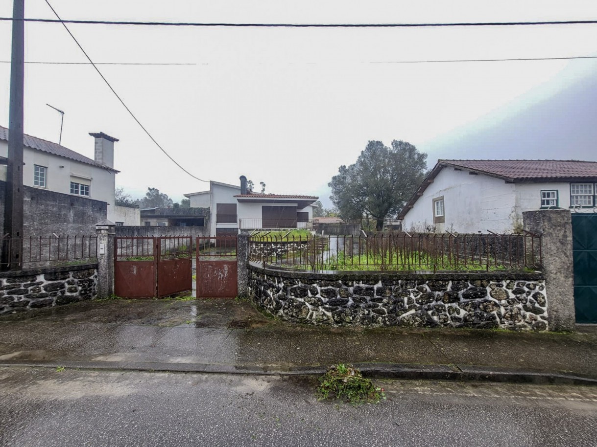 33-whatsapp-image-2026-02-05-at-15jpg