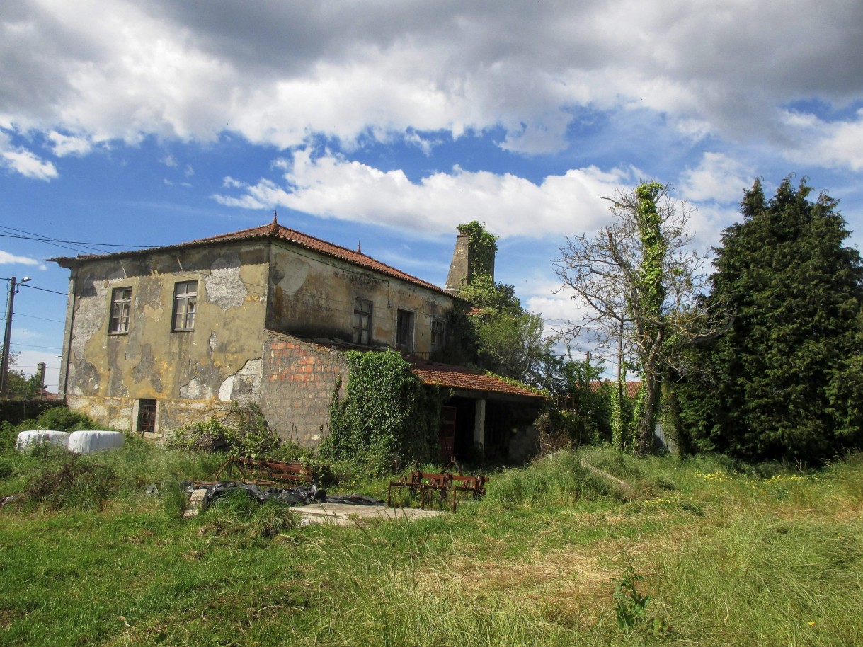 3-prod-713576-rawjpg