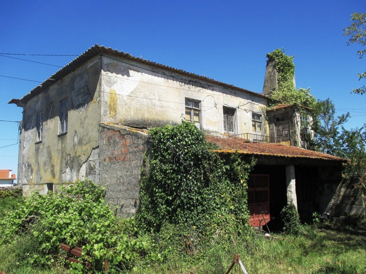 4-prod-627126-rawjpg