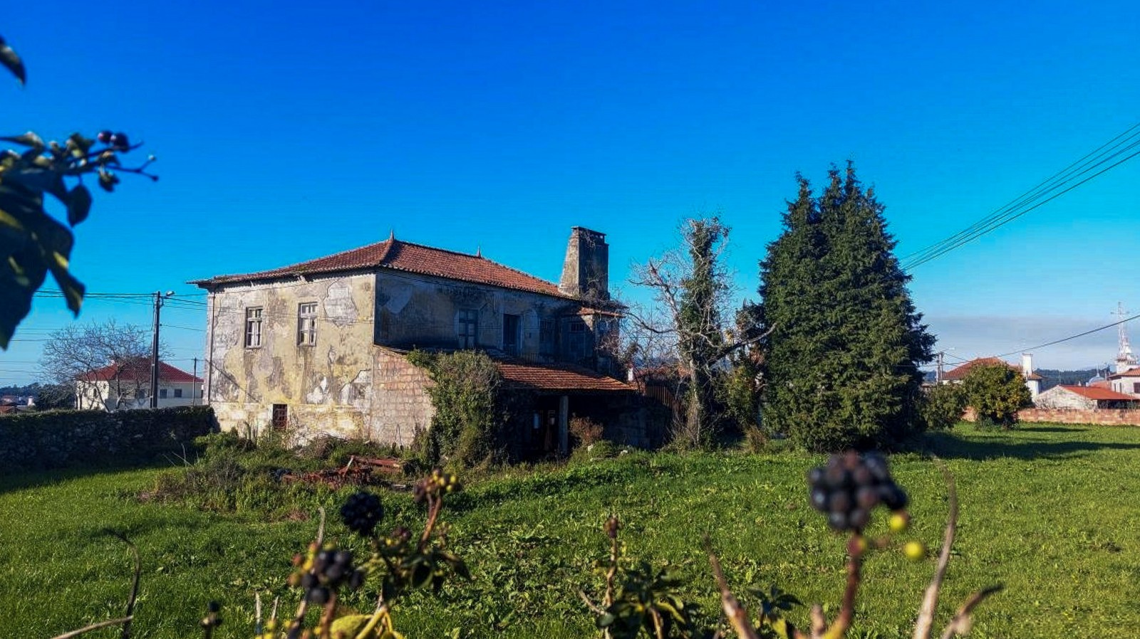 1-prod-742877-rawjpg