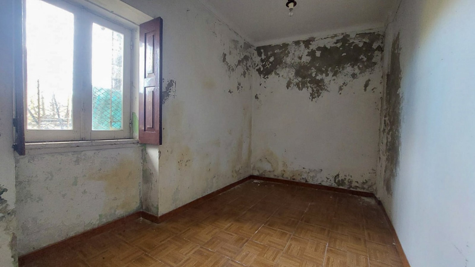 9-155fbb94-262e-492a-9484-010dbbf7f8f1jpg